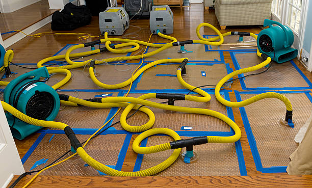 Professional Sewage Cleanup technician working in Hamilton, MO